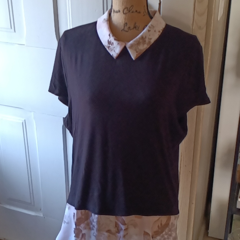 spring top
